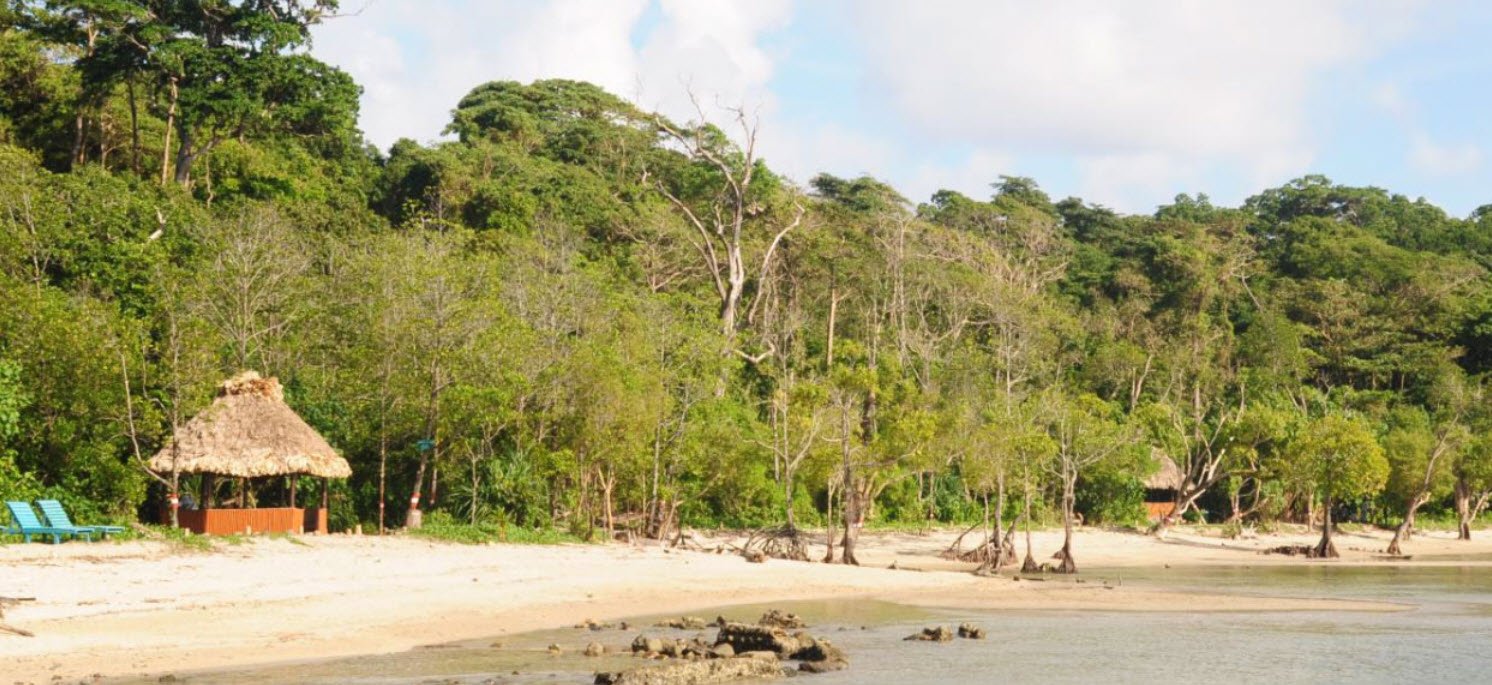Chidiya Tapu Beach